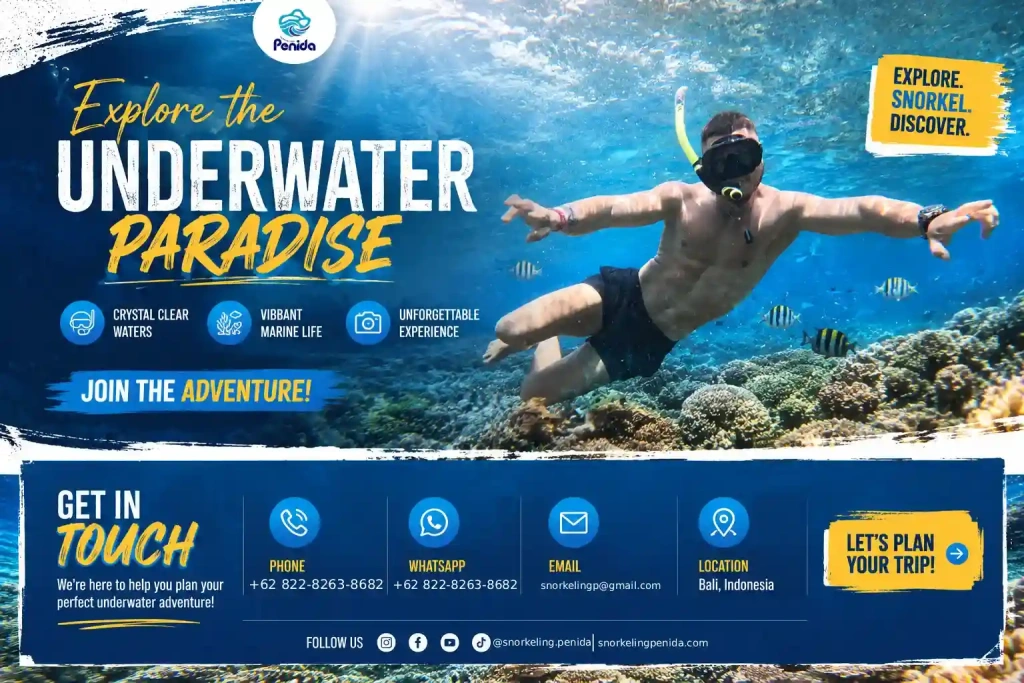 Manta Point | Snorkeling Nusa Penida | Sunrise Cottage