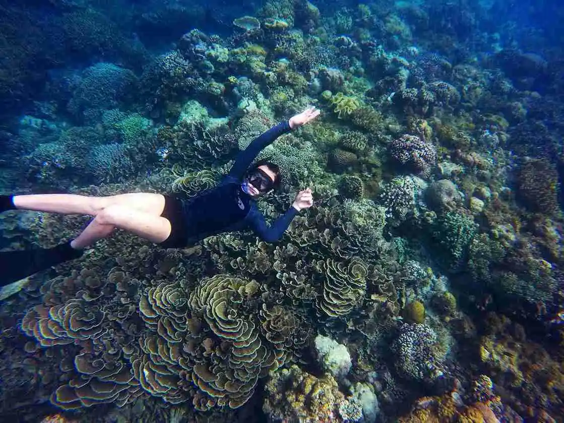 The Ultimate Guide to Snorkeling in Nusa Penida: Manta Bay, Gamat Bay, and Crystal Bay