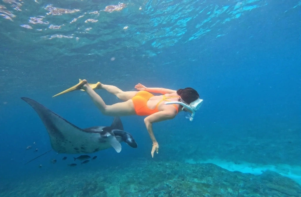 Manta Point | Snorkeling Nusa Penida | Sunrise Cottage